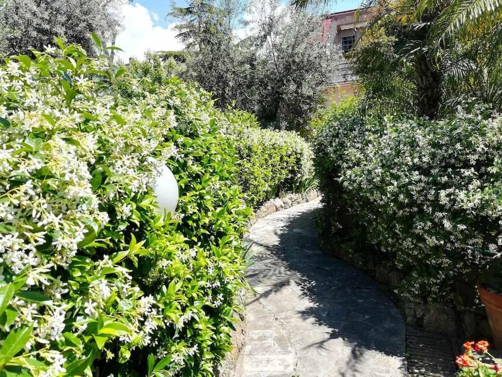 Casa Dinky Attico Con Terrazza Vista Mare Apartman Formia Kültér fotó